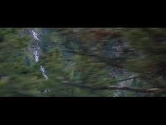 ข้อมูลบริษัท