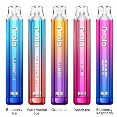 Multi Flavor 600 Puff Disposable Vape 2ml 2% Nicotine Disposable Electronic Cigarettes